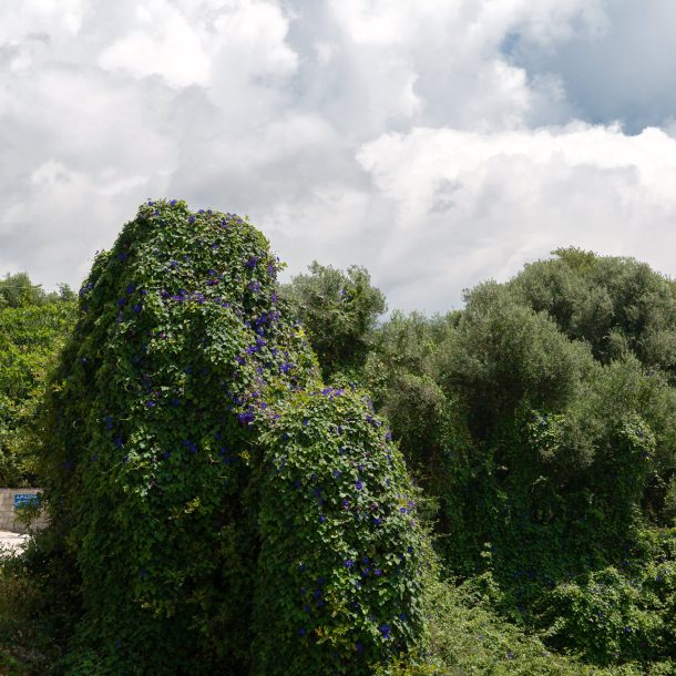 Pernari Apartments building and grounds, Spartia, Kefalonia